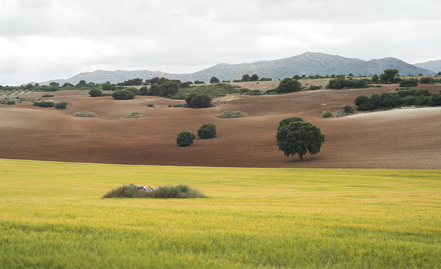 boda_naturaleza_paisajes